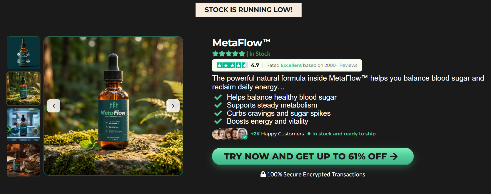MetaFlow1